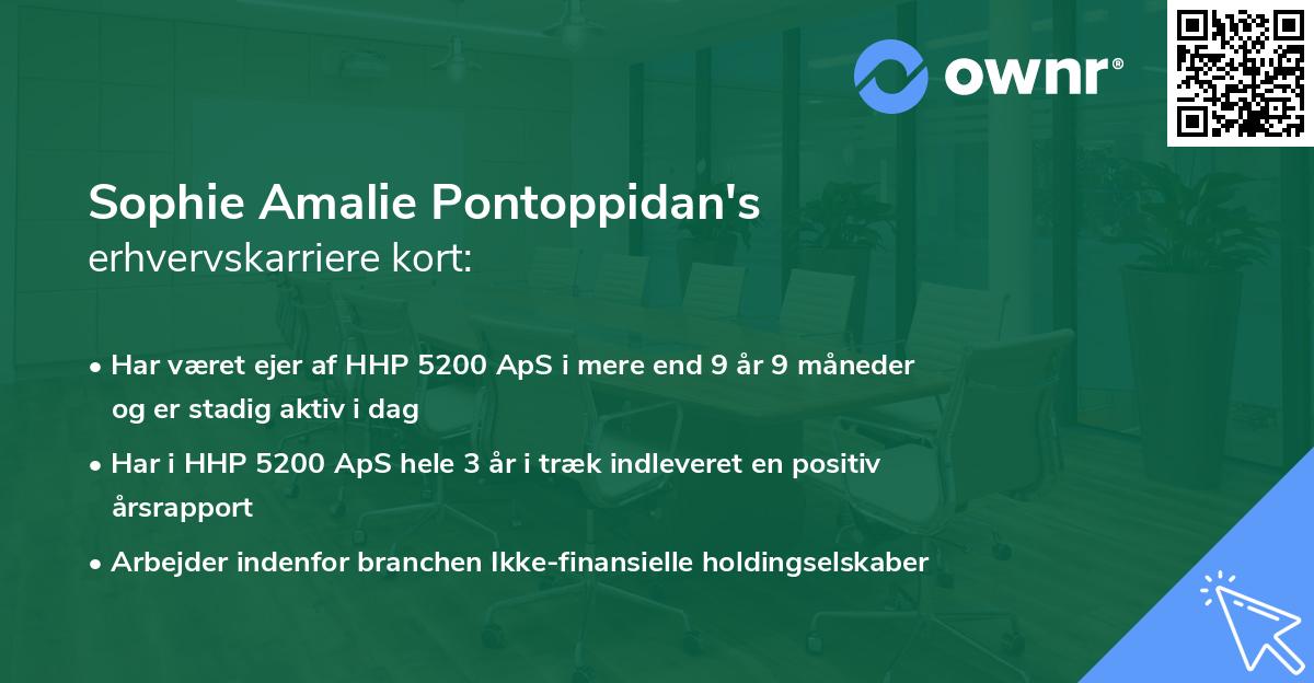 Sophie Amalie Pontoppidan's erhvervskarriere kort