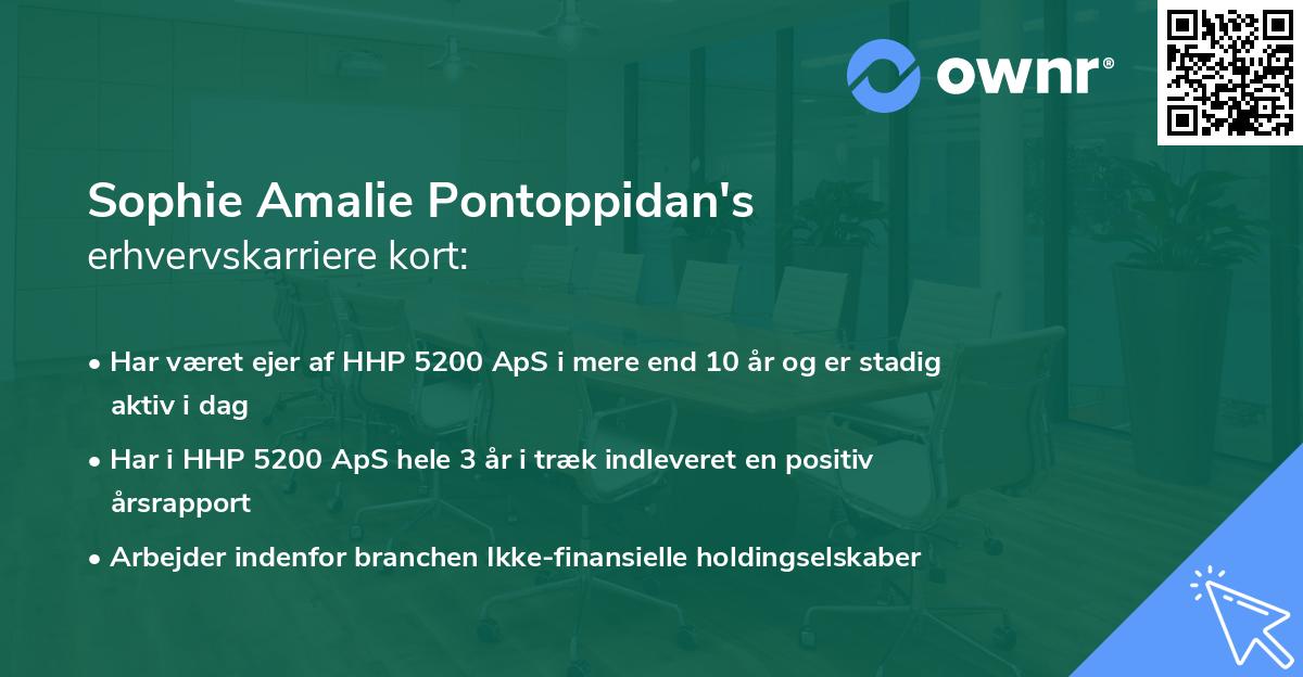 Sophie Amalie Pontoppidan's erhvervskarriere kort