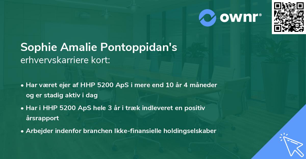 Sophie Amalie Pontoppidan's erhvervskarriere kort