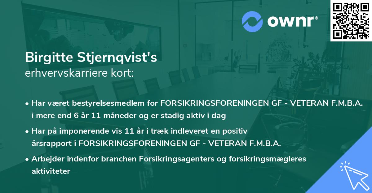 Birgitte Stjernqvist's erhvervskarriere kort