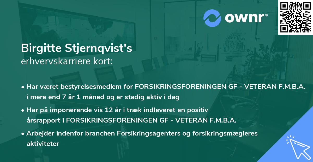 Birgitte Stjernqvist's erhvervskarriere kort