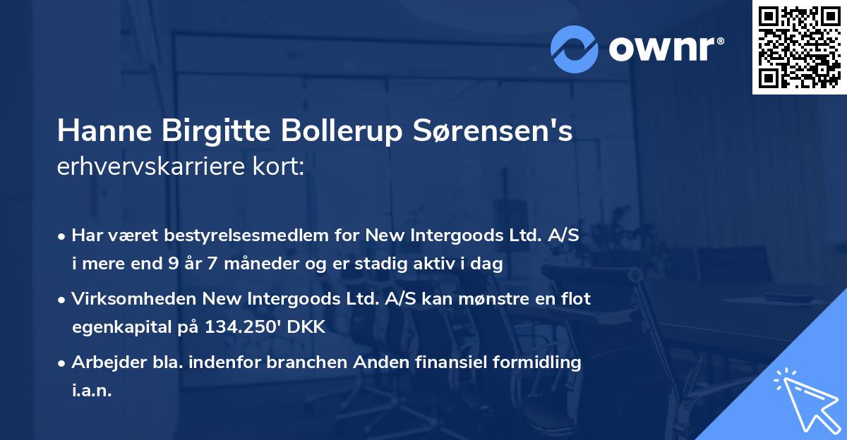 Hanne Birgitte Bollerup Sørensen's erhvervskarriere kort