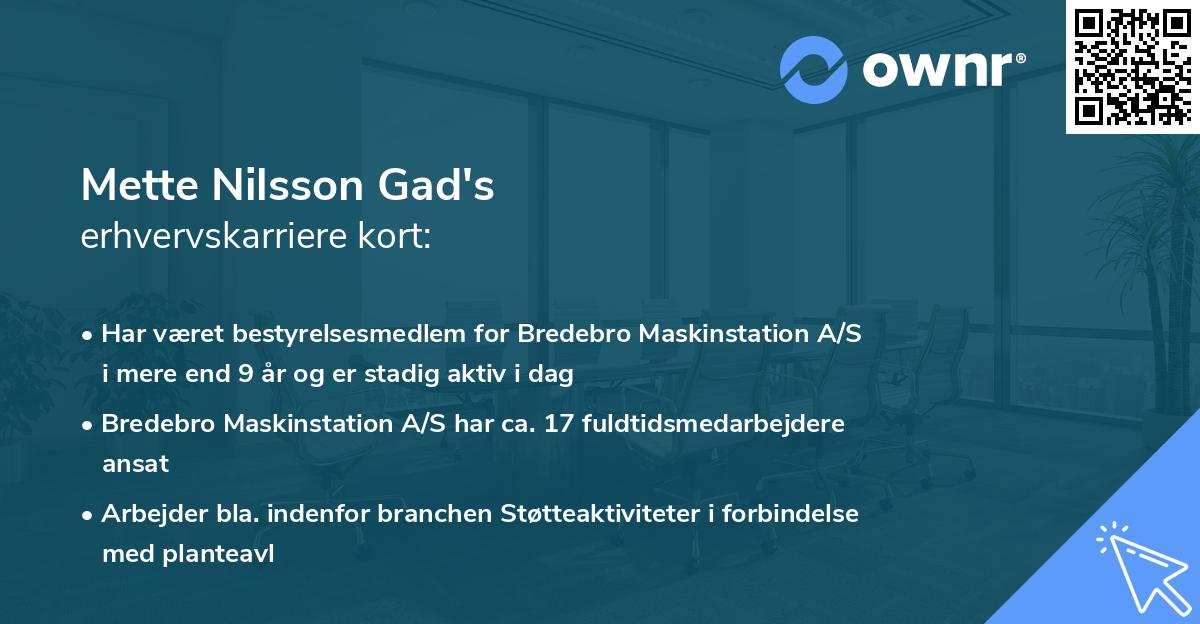 Mette Nilsson Gad's erhvervskarriere kort