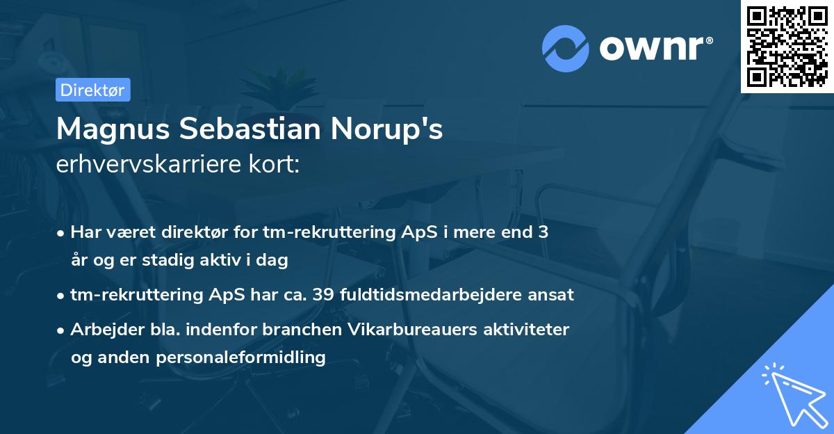 Magnus Sebastian Norup's erhvervskarriere kort