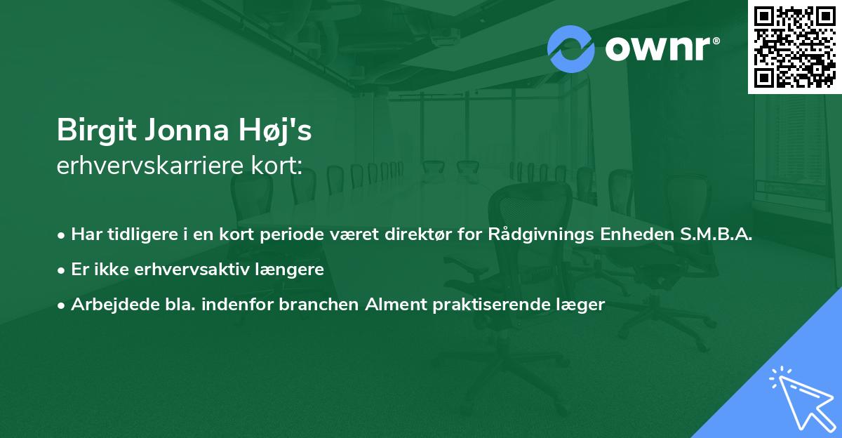 Birgit Jonna Høj's erhvervskarriere kort
