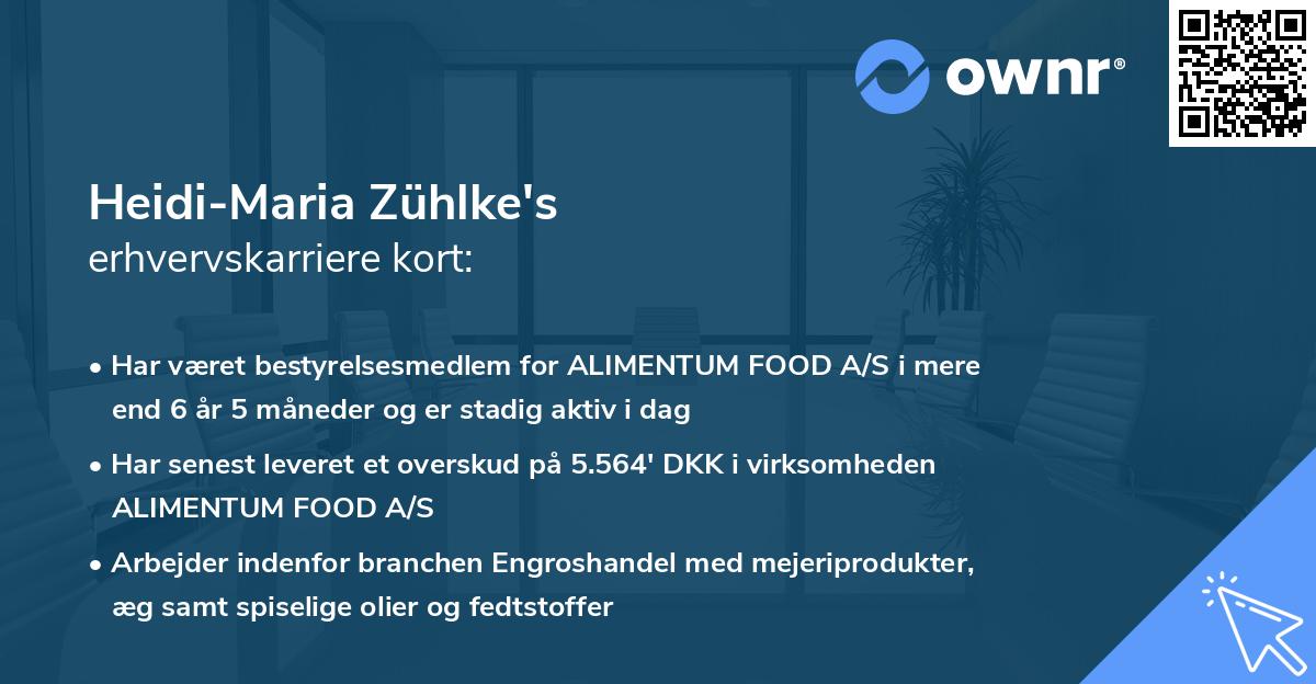 Heidi-Maria Zühlke's erhvervskarriere kort