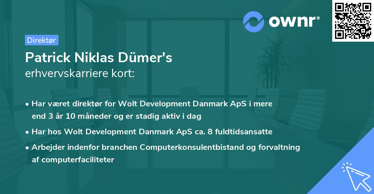 Patrick Niklas Dümer's erhvervskarriere kort