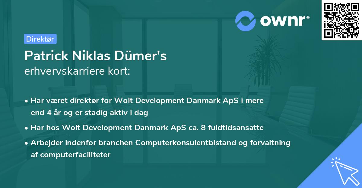 Patrick Niklas Dümer's erhvervskarriere kort