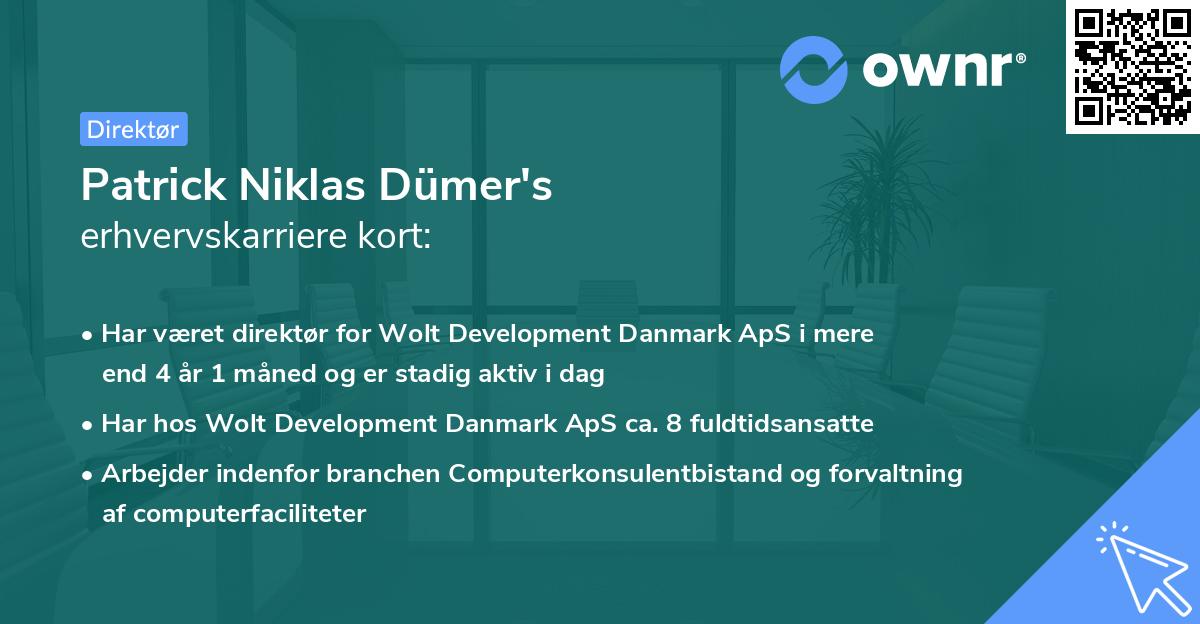 Patrick Niklas Dümer's erhvervskarriere kort