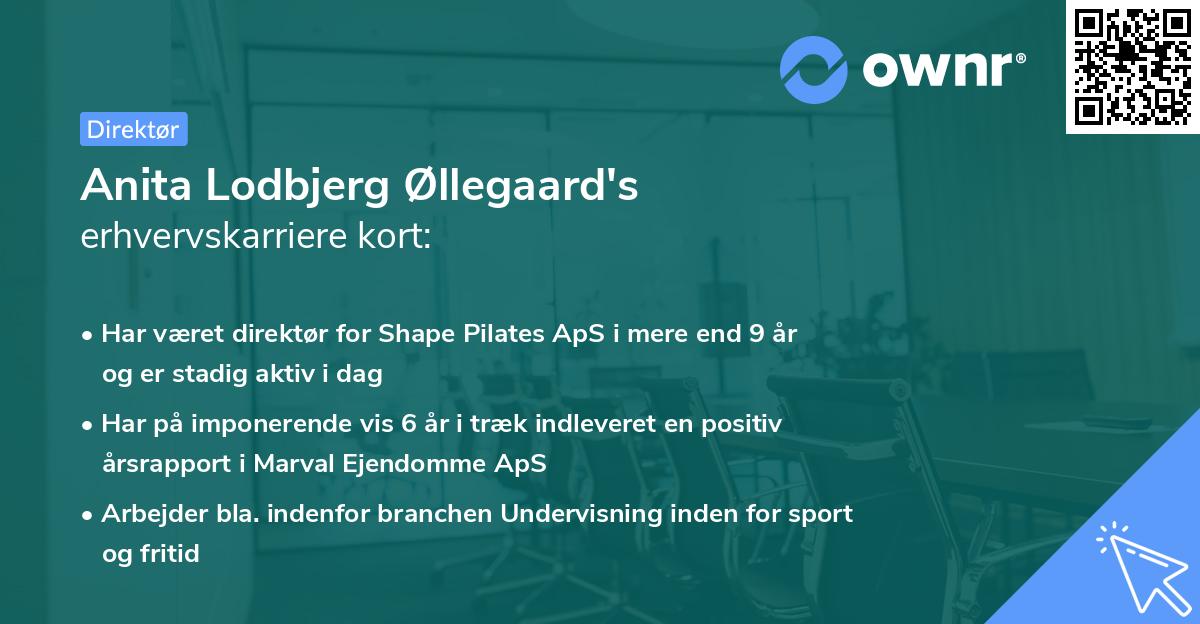 Anita Lodbjerg Øllegaard's erhvervskarriere kort