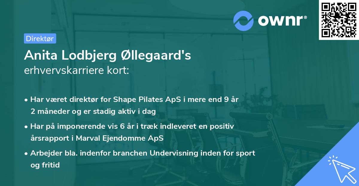 Anita Lodbjerg Øllegaard's erhvervskarriere kort