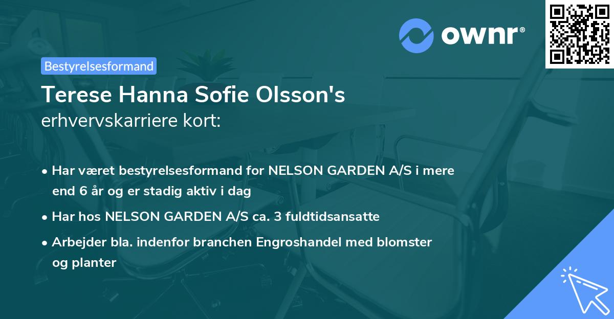 Terese Hanna Sofie Olsson's erhvervskarriere kort