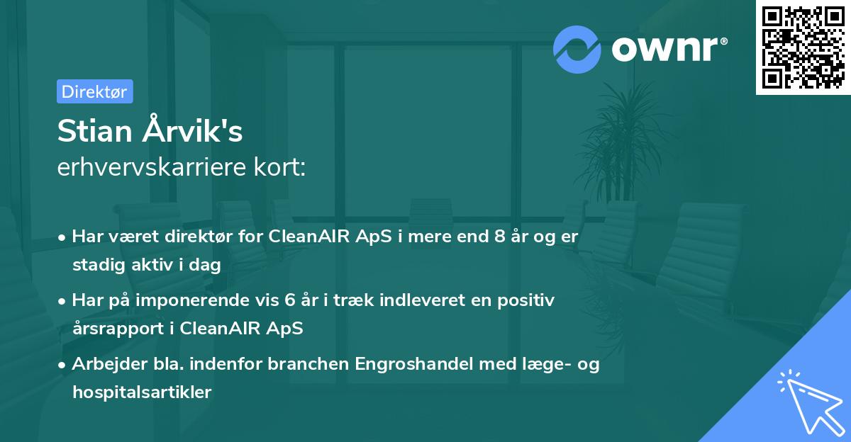 Stian Årvik's erhvervskarriere kort