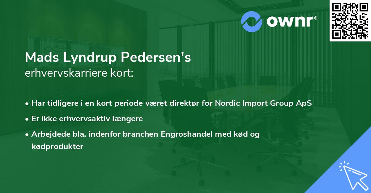Mads Lyndrup Pedersen's erhvervskarriere kort