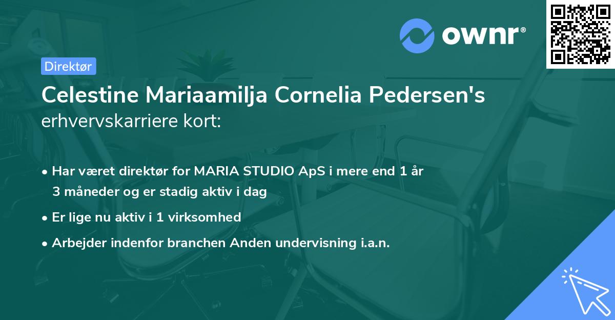 Celestine Mariaamilja Cornelia Pedersen's erhvervskarriere kort
