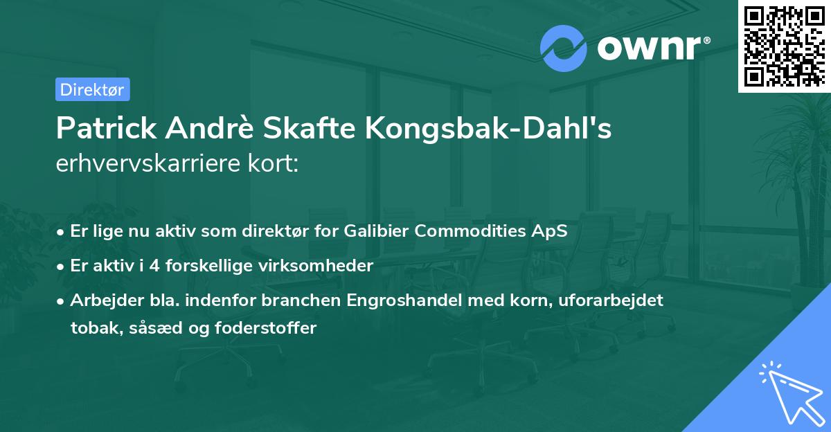 Patrick Andrè Skafte Kongsbak-Dahl's erhvervskarriere kort