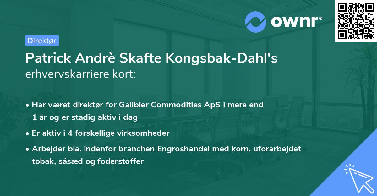 Patrick Andrè Skafte Kongsbak-Dahl's erhvervskarriere kort