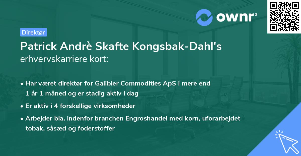 Patrick Andrè Skafte Kongsbak-Dahl's erhvervskarriere kort