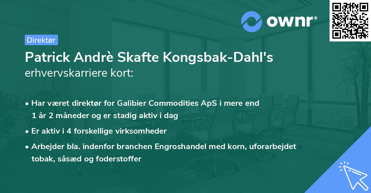 Patrick Andrè Skafte Kongsbak-Dahl's erhvervskarriere kort