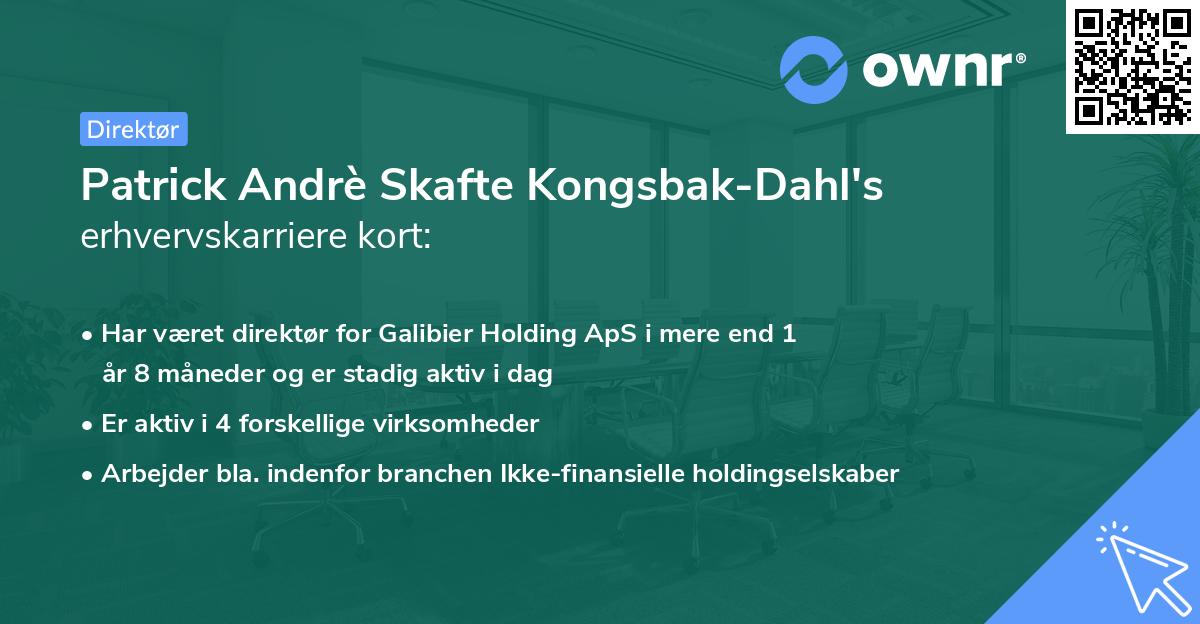 Patrick Andrè Skafte Kongsbak-Dahl's erhvervskarriere kort