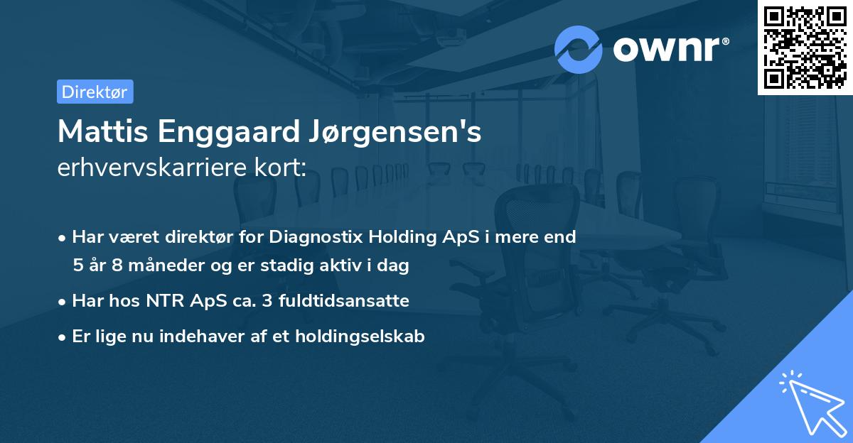 Mattis Enggaard Jørgensen's erhvervskarriere kort