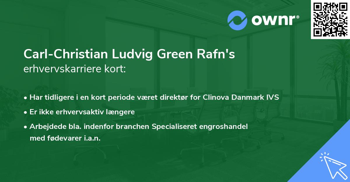 Carl-Christian Ludvig Green Rafn's erhvervskarriere kort