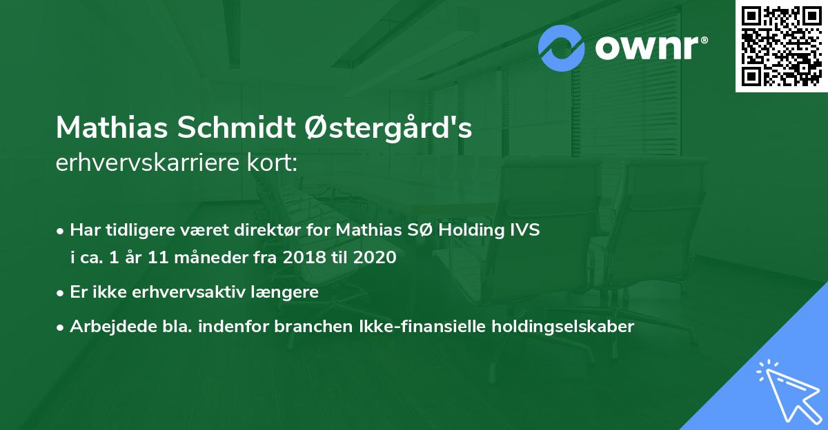 Mathias Schmidt Østergård's erhvervskarriere kort