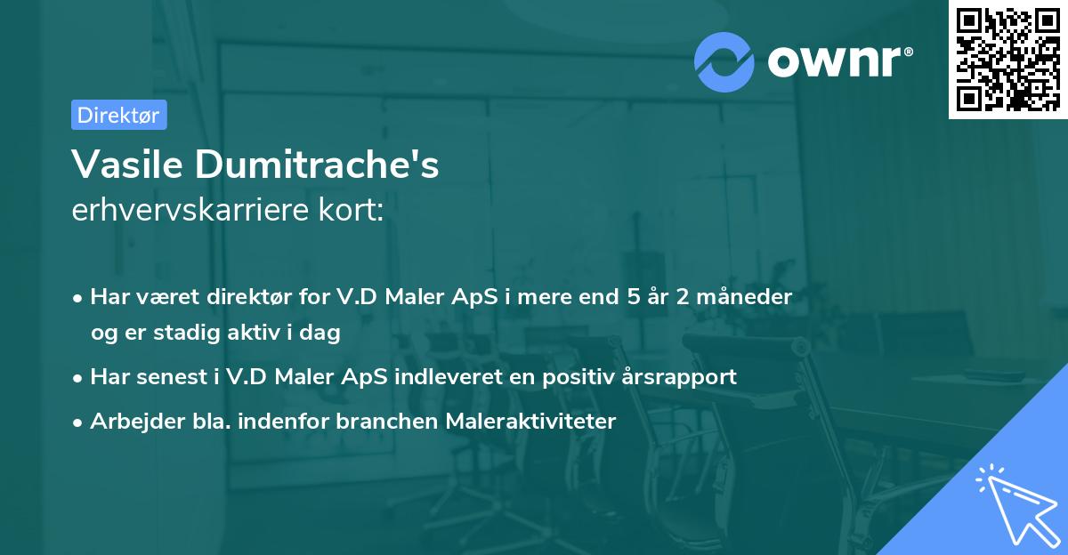 Vasile Dumitrache's erhvervskarriere kort