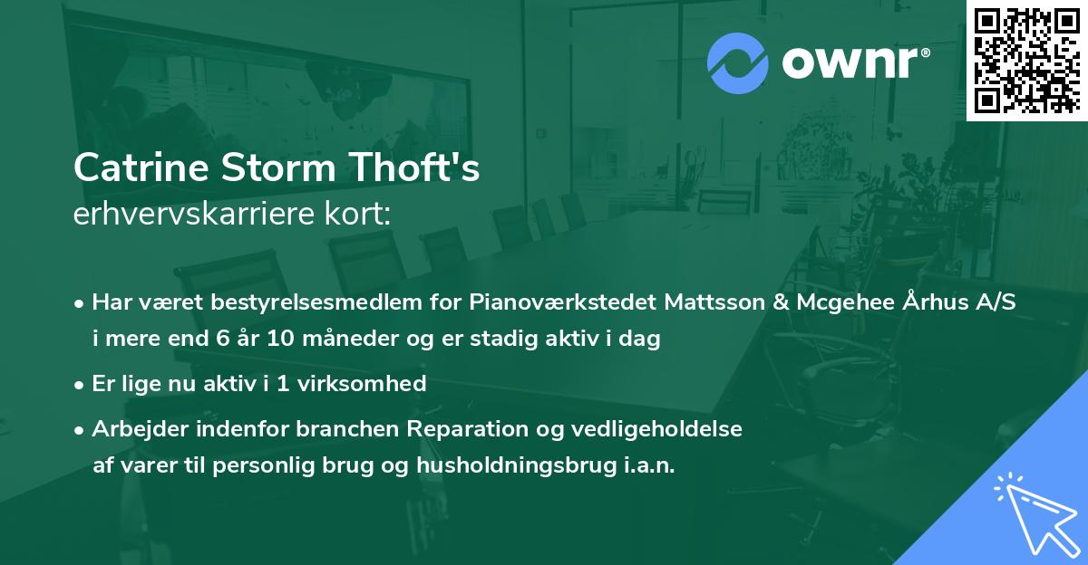 Catrine Storm Thoft's erhvervskarriere kort