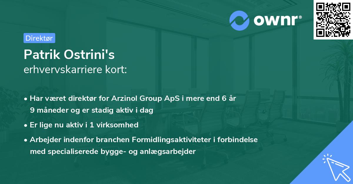 Patrik Ostrini's erhvervskarriere kort