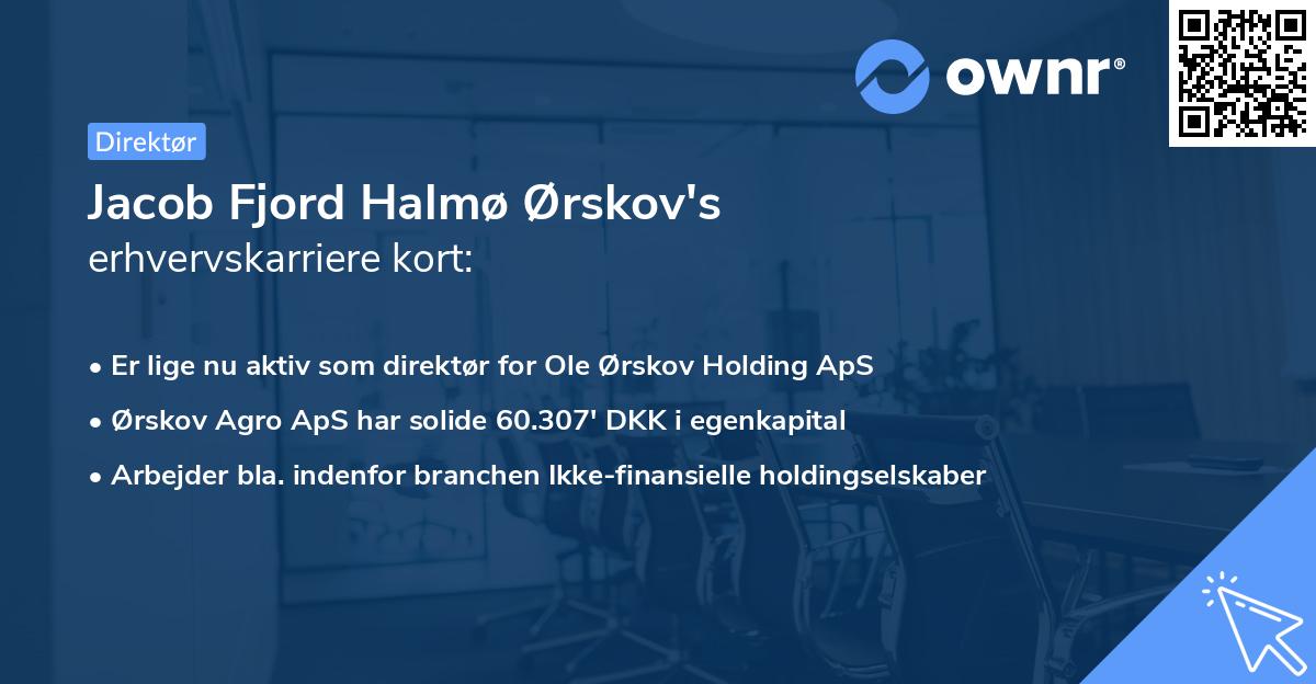 Jacob Fjord Halmø Ørskov's erhvervskarriere kort