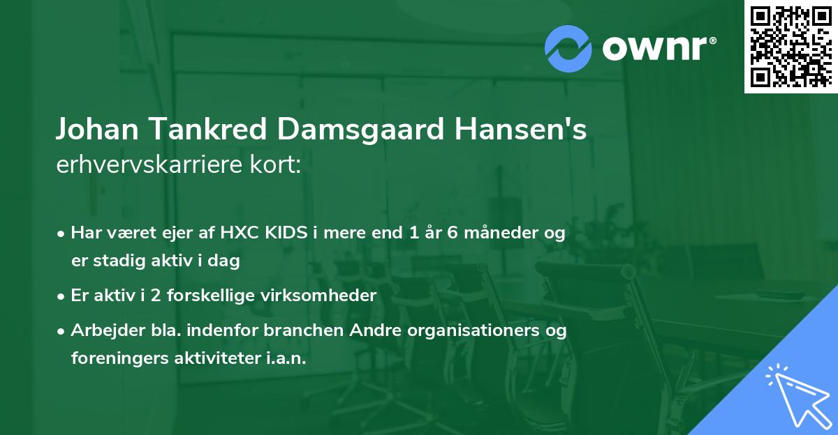 Johan Tankred Damsgaard Hansen's erhvervskarriere kort