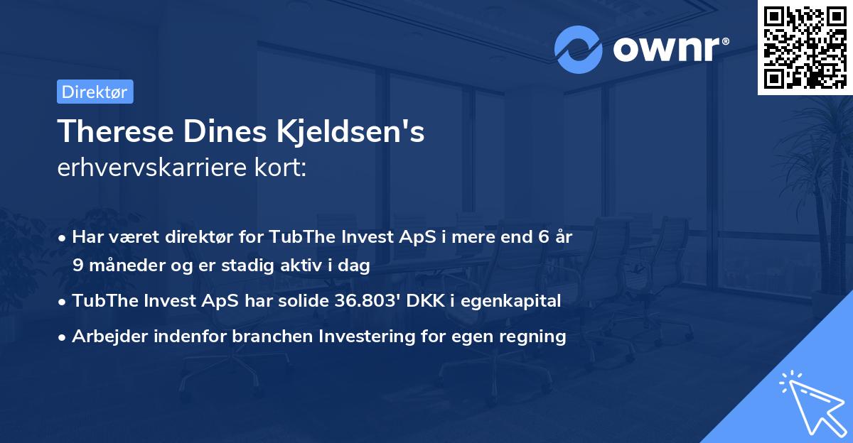 Therese Dines Kjeldsen's erhvervskarriere kort