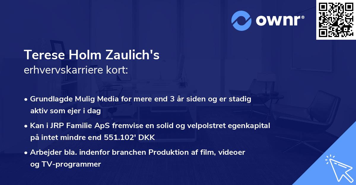 Terese Holm Zaulich's erhvervskarriere kort