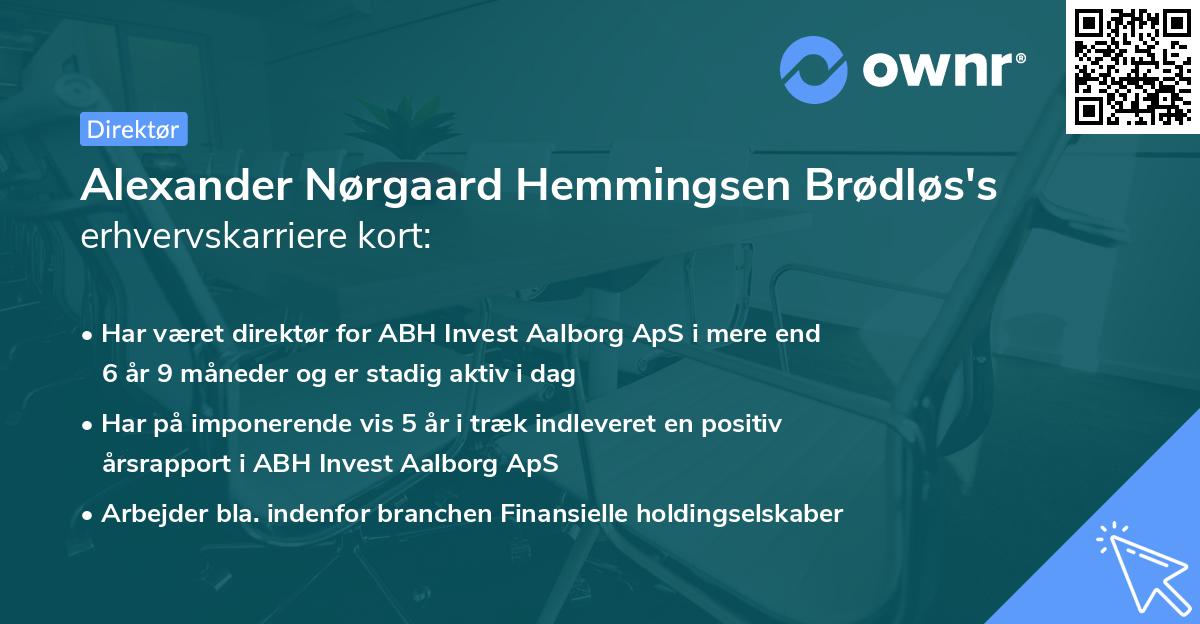 Alexander Nørgaard Hemmingsen Brødløs's erhvervskarriere kort