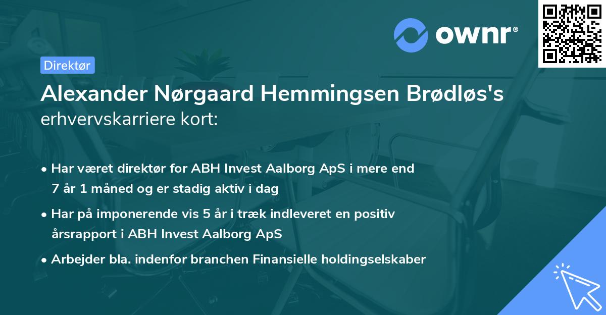 Alexander Nørgaard Hemmingsen Brødløs's erhvervskarriere kort