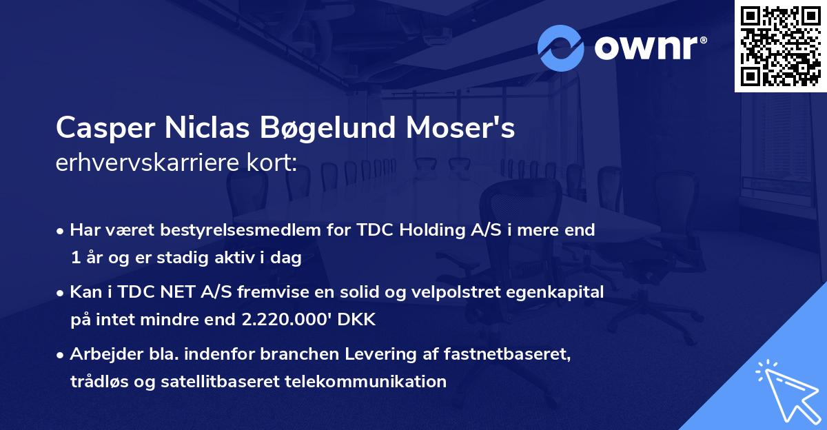 Casper Niclas Bøgelund Moser's erhvervskarriere kort