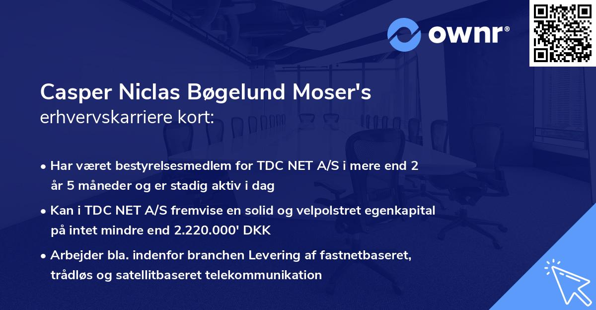 Casper Niclas Bøgelund Moser's erhvervskarriere kort