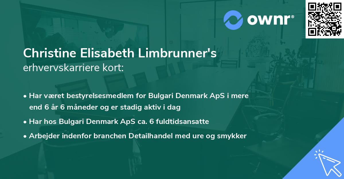 Christine Elisabeth Limbrunner's erhvervskarriere kort