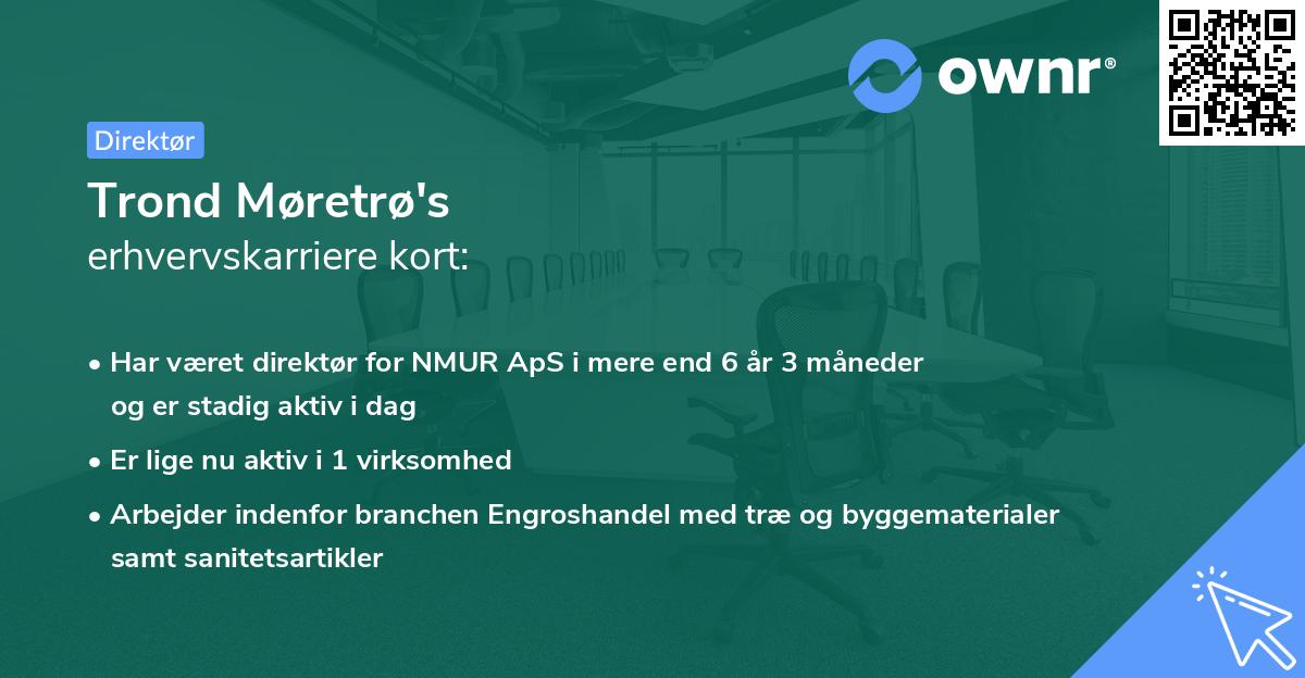 Trond Møretrø's erhvervskarriere kort