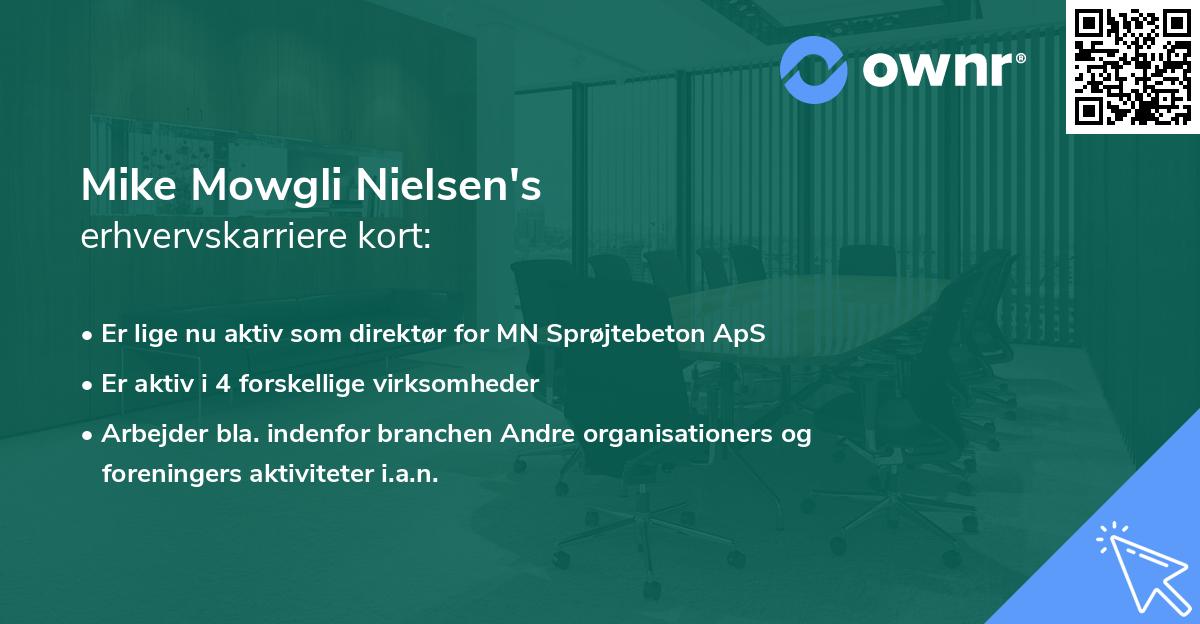 Mike Mowgli Nielsen's erhvervskarriere kort
