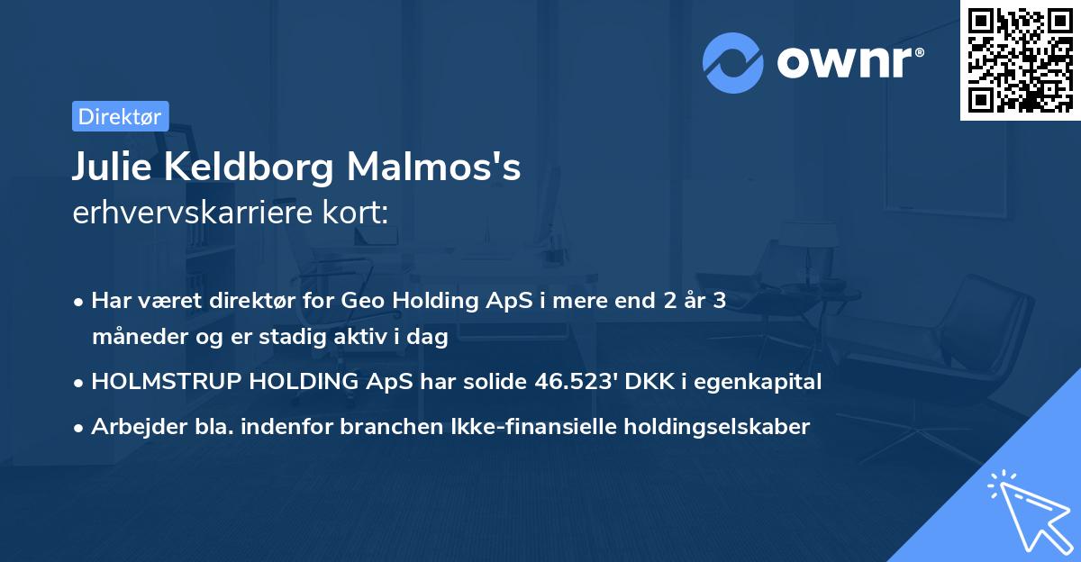 Julie Keldborg Malmos's erhvervskarriere kort