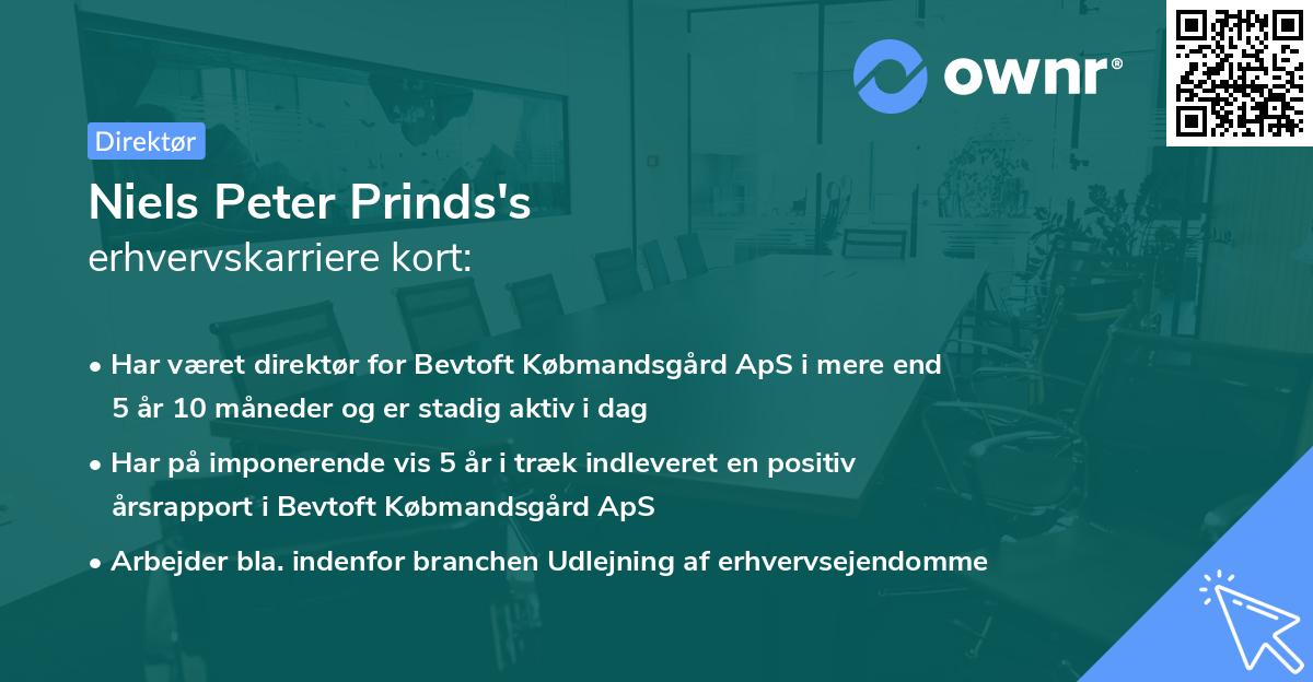 Niels Peter Prinds's erhvervskarriere kort