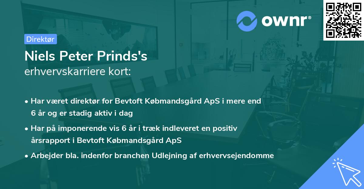 Niels Peter Prinds's erhvervskarriere kort