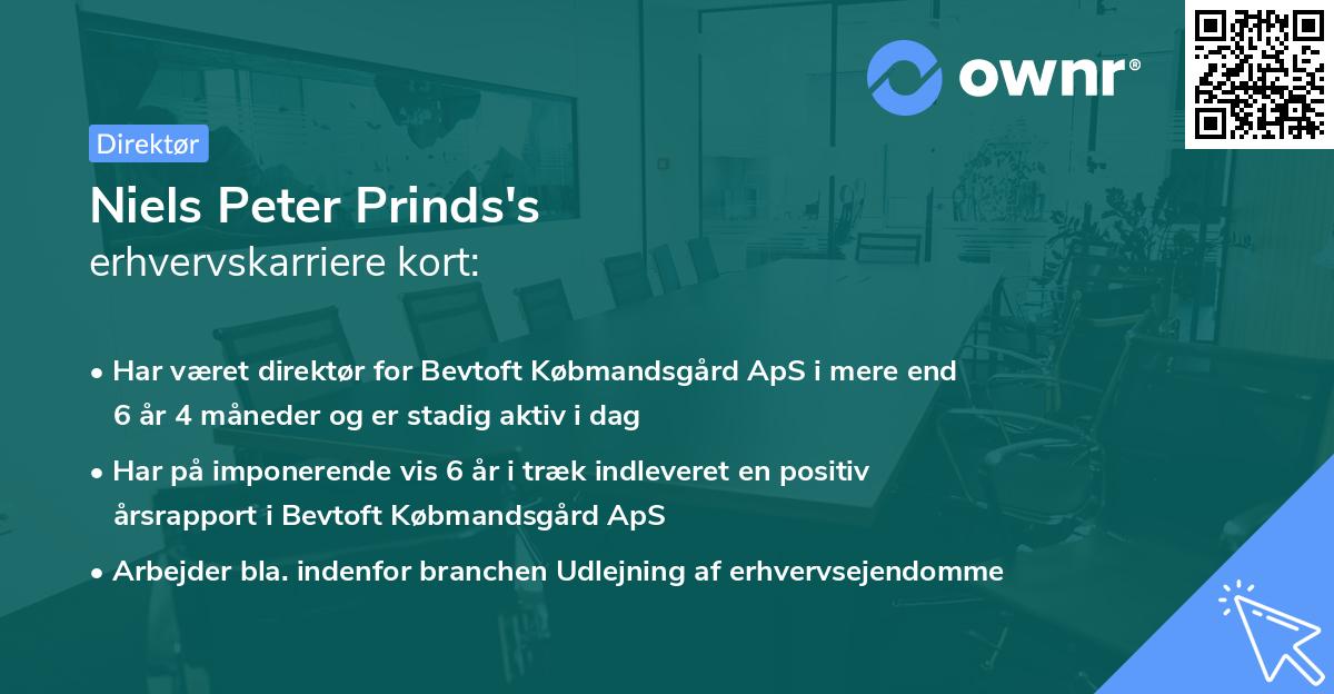 Niels Peter Prinds's erhvervskarriere kort
