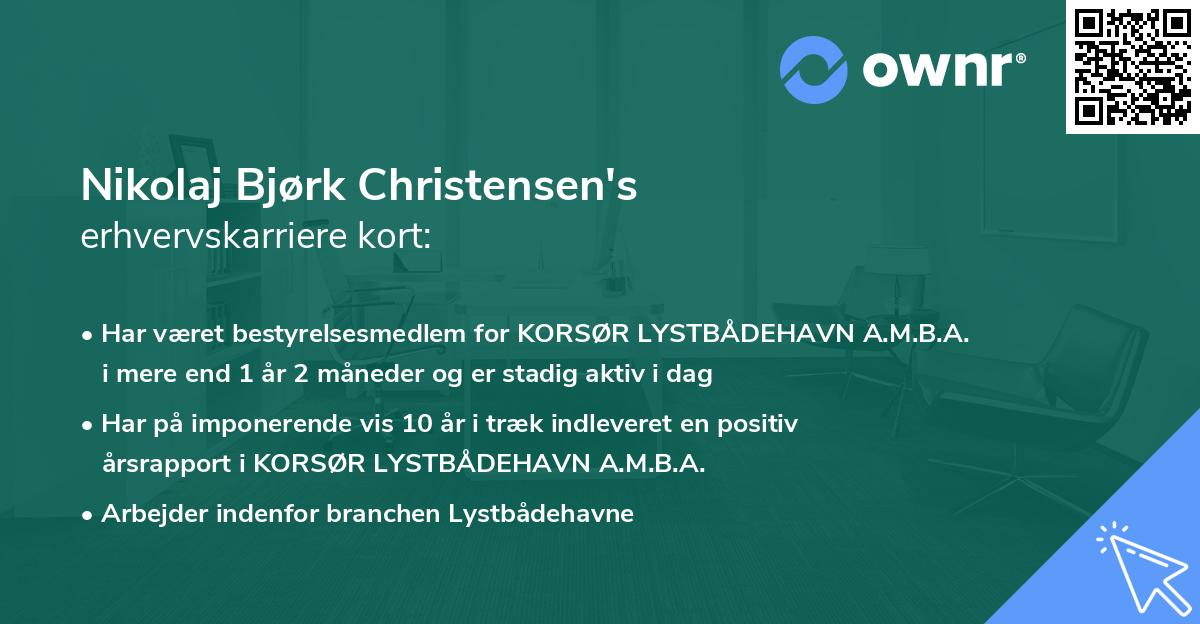 Nikolaj Bjørk Christensen's erhvervskarriere kort