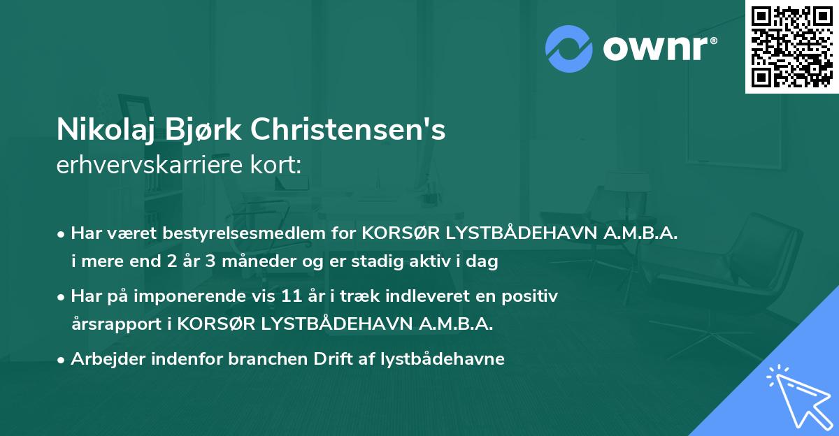 Nikolaj Bjørk Christensen's erhvervskarriere kort