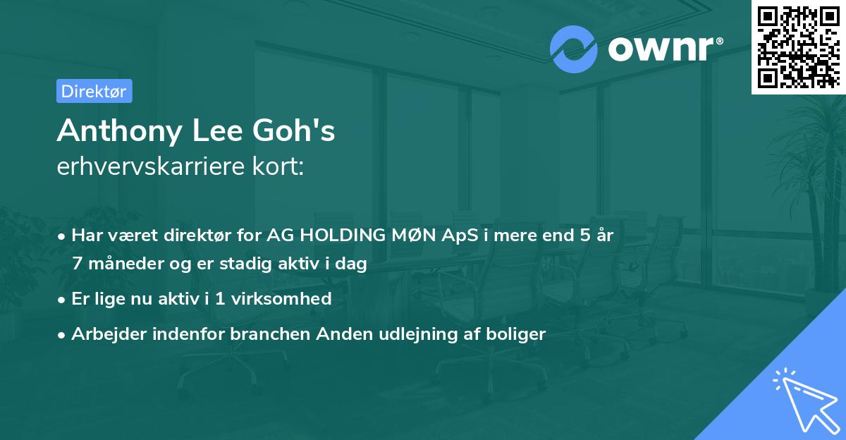 Anthony Lee Goh's erhvervskarriere kort