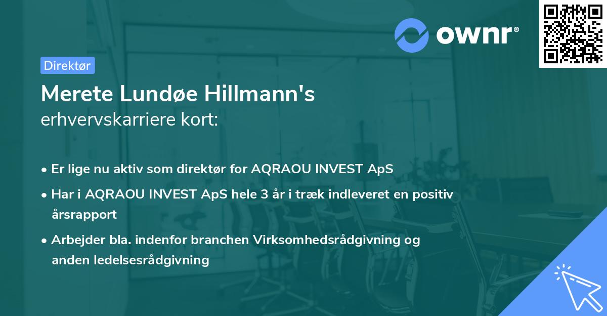 Merete Lundøe Hillmann's erhvervskarriere kort