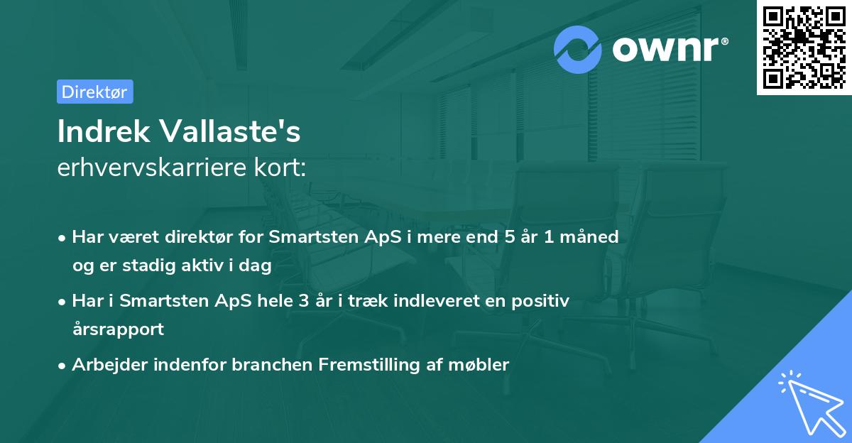 Indrek Vallaste's erhvervskarriere kort